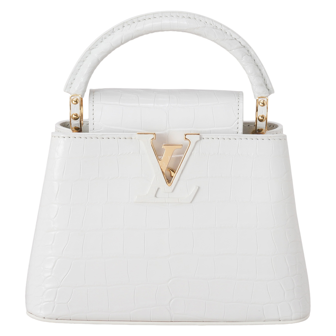 LOUIS VUITTON(USED)루이비통 이그조틱 와니 카퓌신 미니